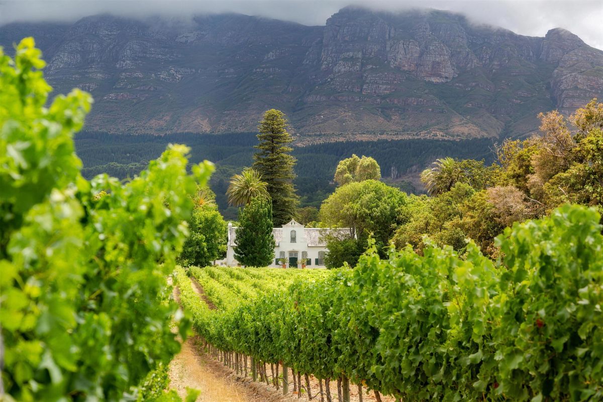 Cape Winelands heritage estate near the Route 62 corridor